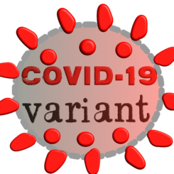 COVID-19 : Quand le virus varie